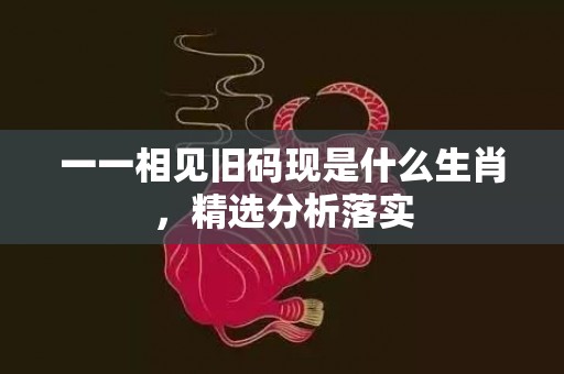 一一相见旧码现是什么生肖，精选分析落实