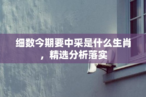 细数今期要中采是什么生肖，精选分析落实