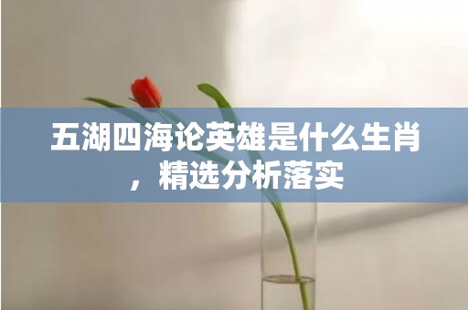 五湖四海论英雄是什么生肖，精选分析落实