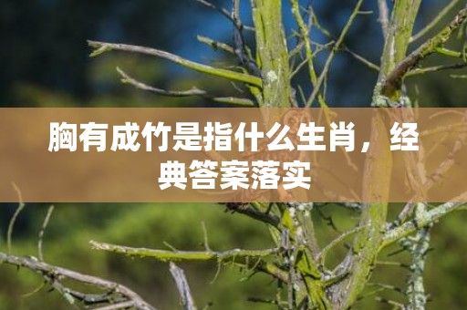 胸有成竹是指什么生肖，经典答案落实