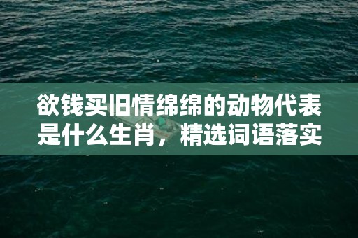欲钱买旧情绵绵的动物代表是什么生肖，精选词语落实