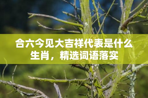合六今见大吉祥代表是什么生肖，精选词语落实