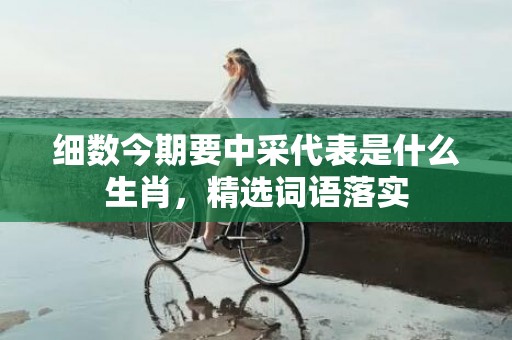细数今期要中采代表是什么生肖，精选词语落实