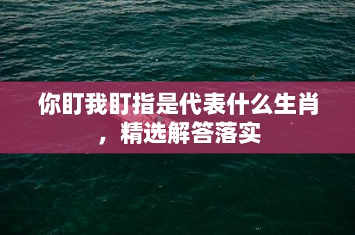 你盯我盯指是代表什么生肖，精选解答落实