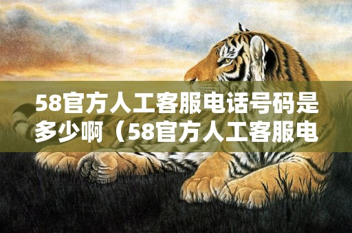 58官方人工客服电话号码是多少啊（58官方人工客服电话号码是多少）