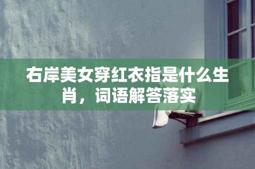 右岸美女穿红衣指是什么生肖，词语解答落实