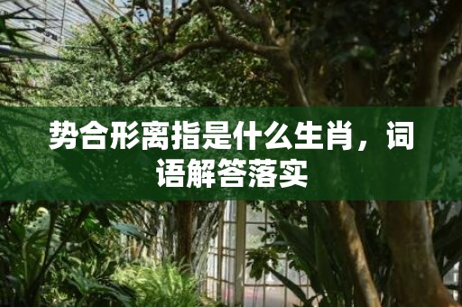 势合形离指是什么生肖，词语解答落实