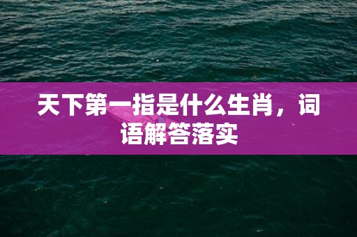 天下第一指是什么生肖，词语解答落实