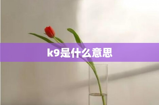 k9是什么意思