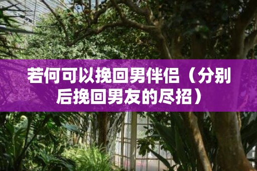 若何可以挽回男伴侣（分别后挽回男友的尽招）