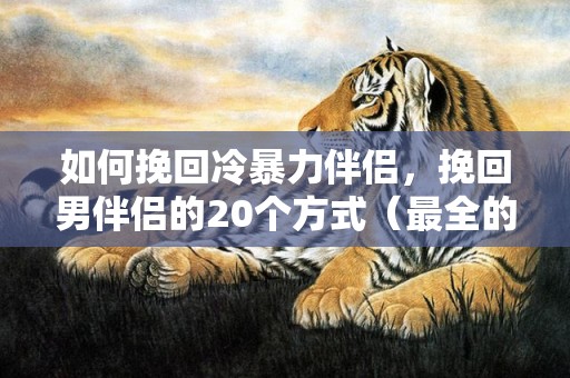 如何挽回冷暴力伴侣，挽回男伴侣的20个方式（最全的挽回前男友步调）