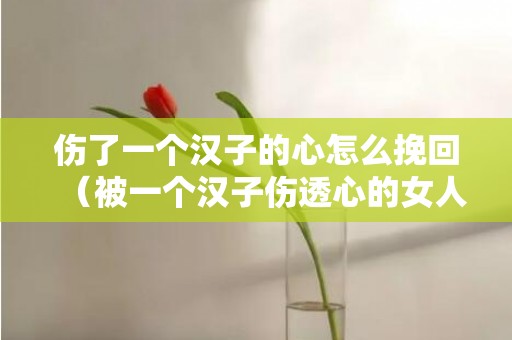伤了一个汉子的心怎么挽回（被一个汉子伤透心的女人）
