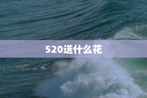 520送什么花