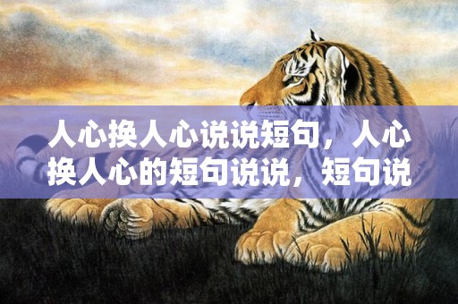 人心换人心说说短句，人心换人心的短句说说，短句说说 现实一点的