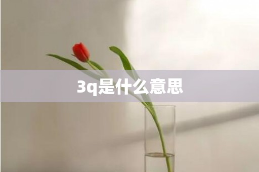 3q是什么意思
