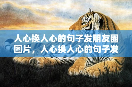 人心换人心的句子发朋友圈图片，人心换人心的句子发朋友圈亲情，看清了一些人心酸句子