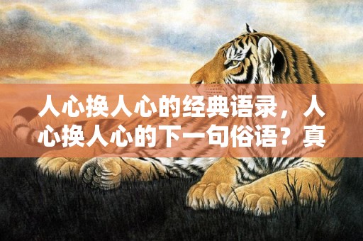 人心换人心的经典语录，人心换人心的下一句俗语？真心待人却被寒心的句子