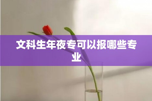 文科生年夜专可以报哪些专业