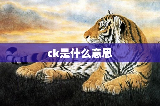 ck是什么意思