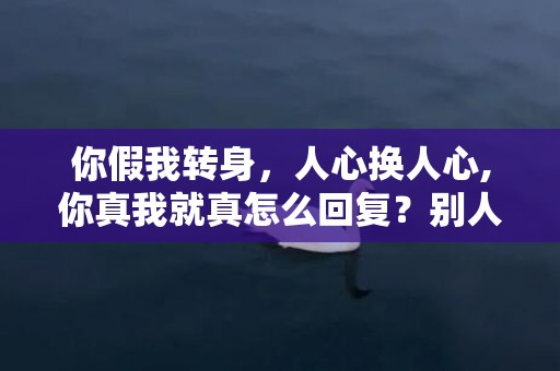 你假我转身，人心换人心,你真我就真怎么回复？别人说真心换真心回复什么