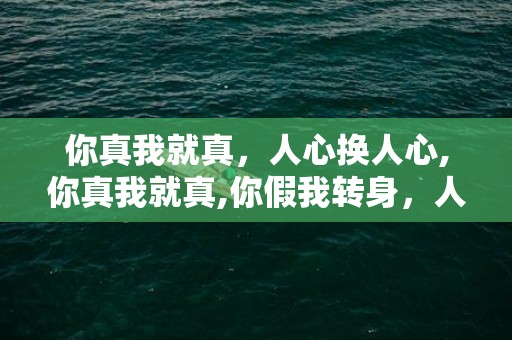 你真我就真，人心换人心,你真我就真,你假我转身，人心换人心下句怎么接