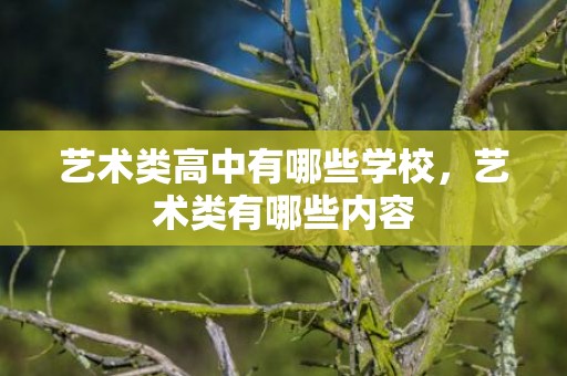 艺术类高中有哪些学校，艺术类有哪些内容
