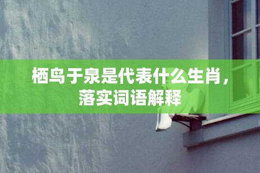 栖鸟于泉是代表什么生肖，落实词语解释