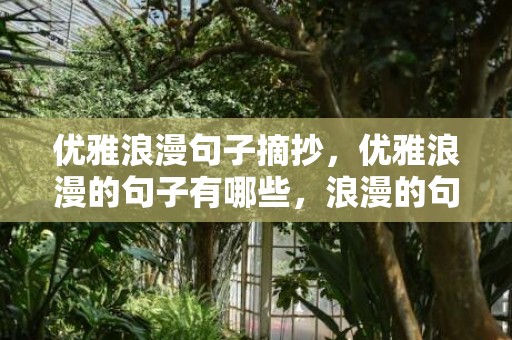 优雅浪漫句子摘抄，优雅浪漫的句子有哪些，浪漫的句子简短的