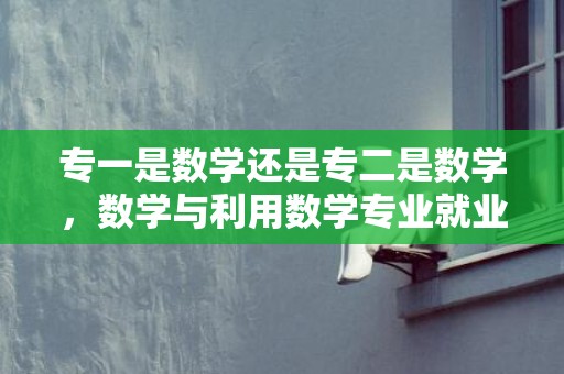 专一是数学还是专二是数学，数学与利用数学专业就业标的目的有哪些 能做什么工作
