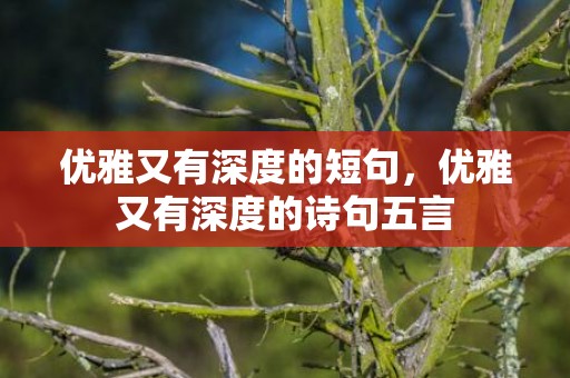 优雅又有深度的短句，优雅又有深度的诗句五言