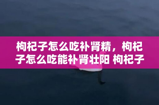 枸杞子怎么吃补肾精，枸杞子怎么吃能补肾壮阳 枸杞子怎么吃