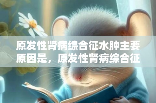 原发性肾病综合征水肿主要原因是，原发性肾病综合征什么意思