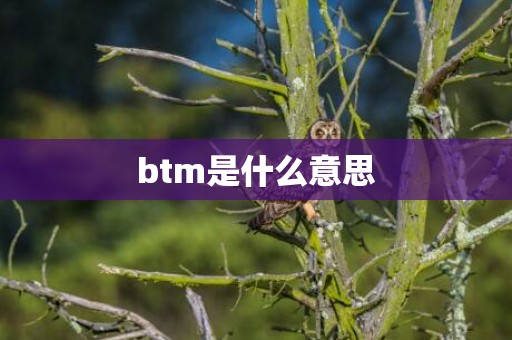 btm是什么意思