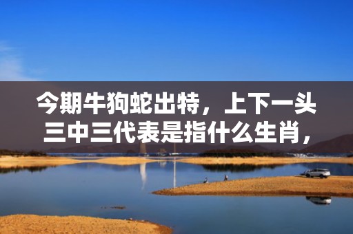 今期牛狗蛇出特，上下一头三中三代表是指什么生肖，词语作解落实