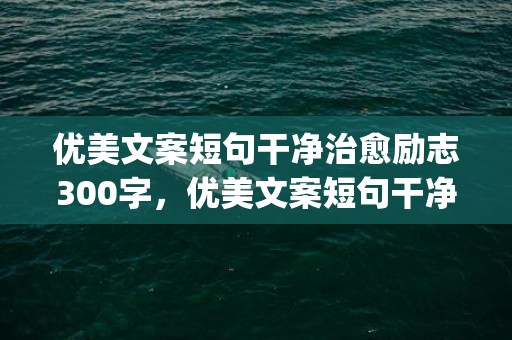 优美文案短句干净治愈励志300字，优美文案短句干净治愈励志(优美文案段落)
