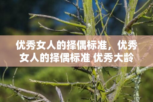 优秀女人的择偶标准，优秀女人的择偶标准 优秀大龄剩女为何择偶难 大龄剩女会降低择偶标准吗