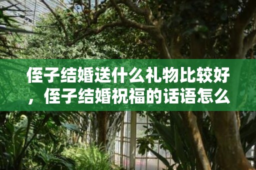 侄子结婚送什么礼物比较好，侄子结婚祝福的话语怎么说呢简短一点 对侄子的成长说一句话