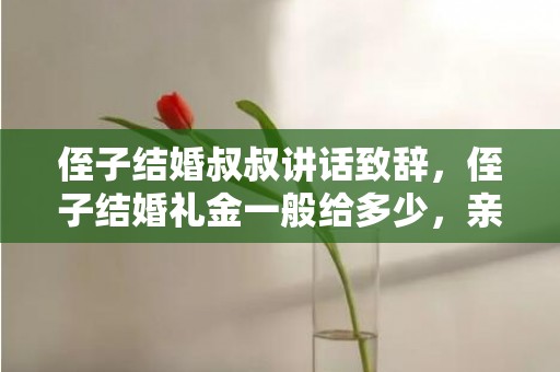 侄子结婚叔叔讲话致辞，侄子结婚礼金一般给多少，亲侄儿结婚礼金给谁合适