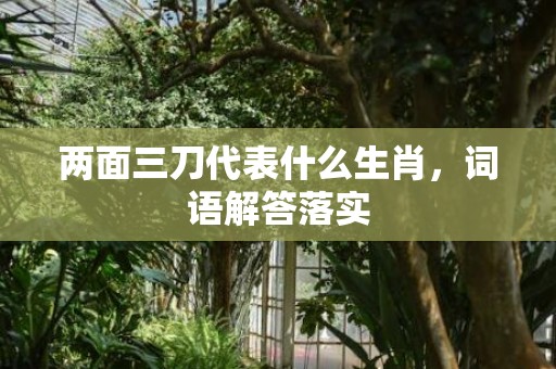 两面三刀代表什么生肖，词语解答落实