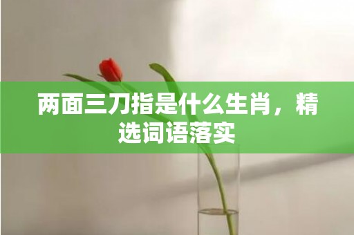 两面三刀指是什么生肖，精选词语落实