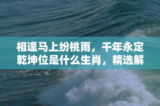 相逢马上纷桃雨，千年永定乾坤位是什么生肖，精选解释落实