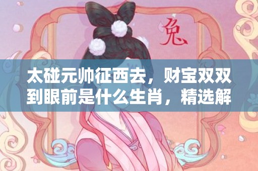太碰元帅征西去，财宝双双到眼前是什么生肖，精选解释落实