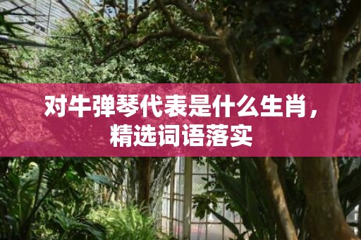 对牛弹琴代表是什么生肖，精选词语落实