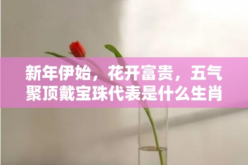 新年伊始，花开富贵，五气聚顶戴宝珠代表是什么生肖，精选词语落实