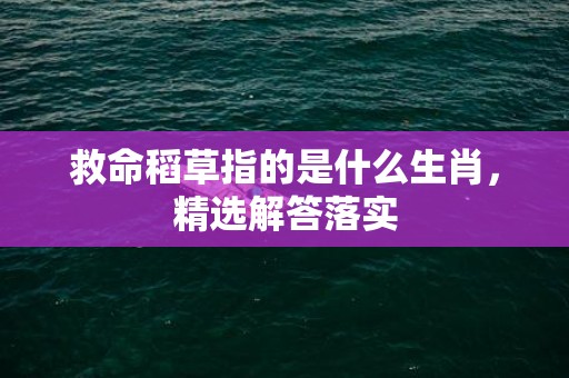 救命稻草指的是什么生肖，精选解答落实