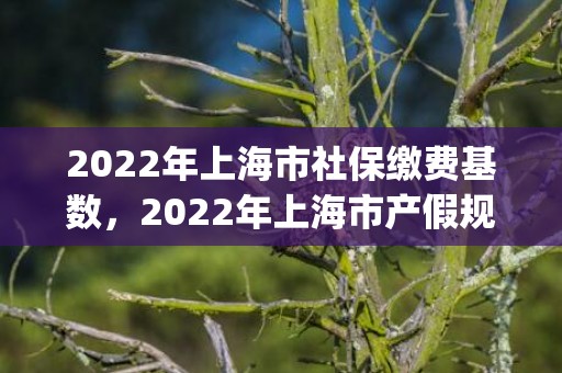 2022年上海市社保缴费基数，2022年上海市产假规定与法定假期(上海市法定陪产假多少天)