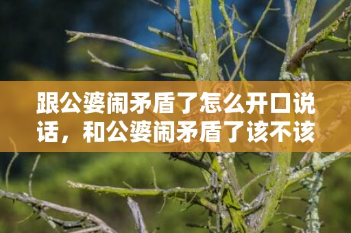 跟公婆闹矛盾了怎么开口说话，和公婆闹矛盾了该不该告诉老公