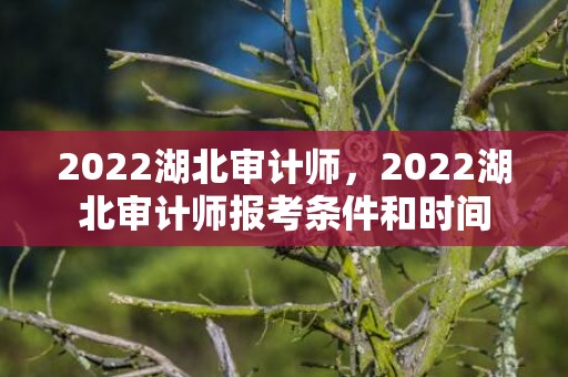 2022湖北审计师，2022湖北审计师报考条件和时间