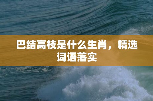 巴结高枝是什么生肖，精选词语落实