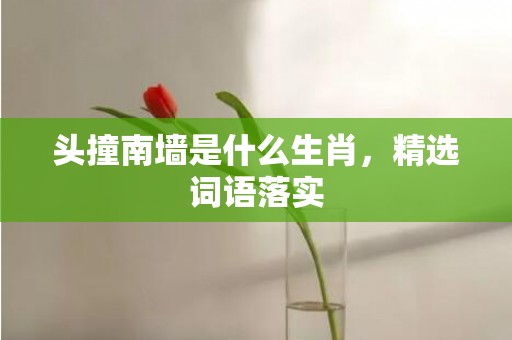 头撞南墙是什么生肖，精选词语落实